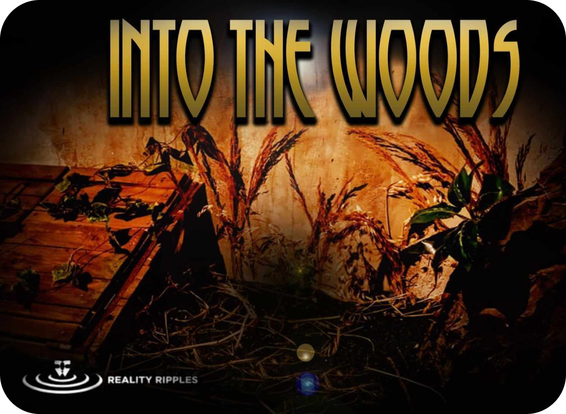 in to the woods image